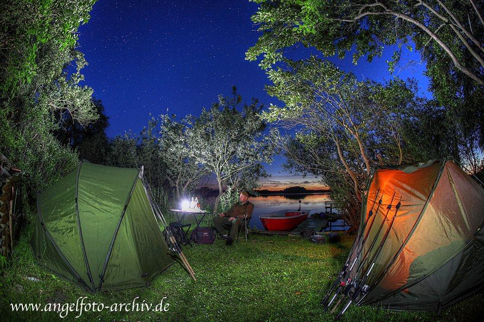 fish - 9445216277831572404831294517794n.jpg